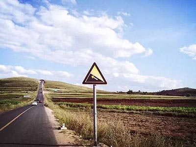 “草原天路”风景秀丽被网友称为“中国66号公路” 点击进入下一页