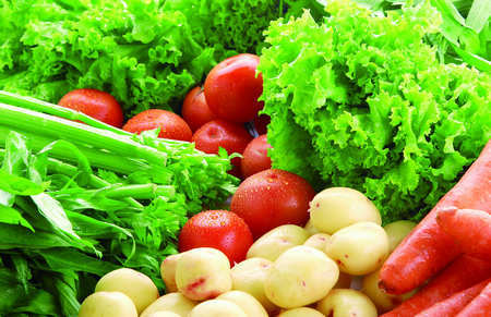 U7347P1274DT20120108004708 U7347P1274DT20120108004708