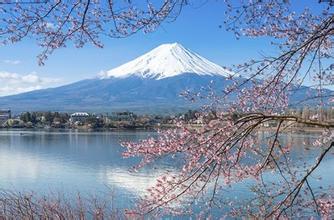 u=701099836,3718521295&fm=206&gp=0 u=701099836,3718521295&fm=206&gp=0