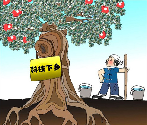 科技下乡 科技下乡