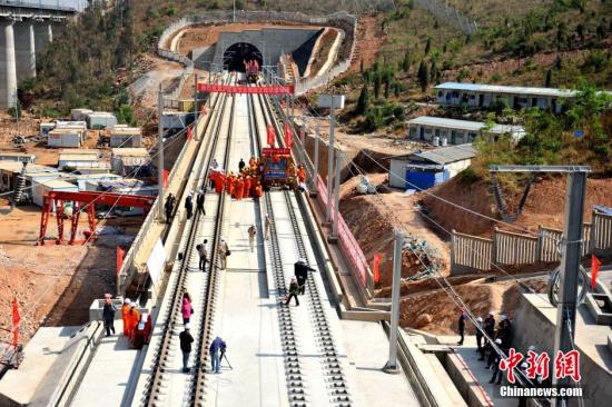 资料图 中新社记者 张伟明 摄 资料图 中新社记者 张伟明 摄