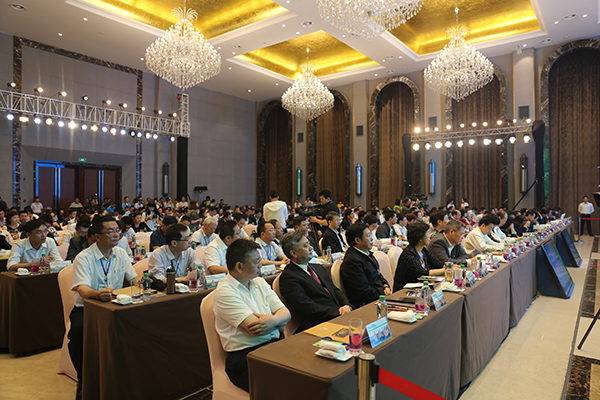 64006a5c8213189d299810 64006a5c8213189d299810