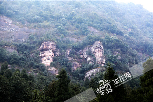 爷孙三代都是双胞胎！重庆一个村出了39对双胞胎待解谜