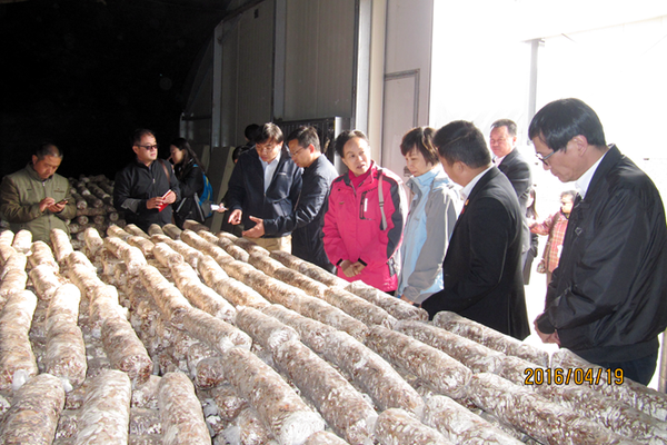 W020160512414648917483 W020160512414648917483