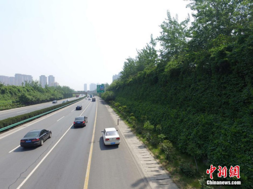 资料图。张一辰 摄