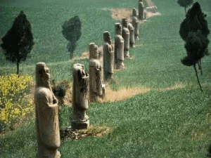 201656134531954 201656134531954