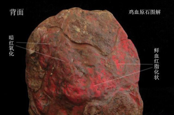 50894562_26 50894562_26