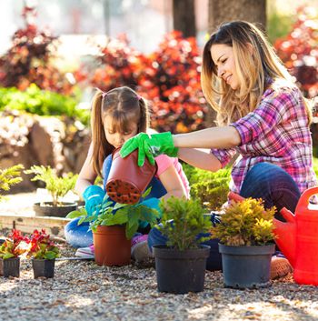 MAIN201605121049350611834895037 MAIN201605121049350611834895037