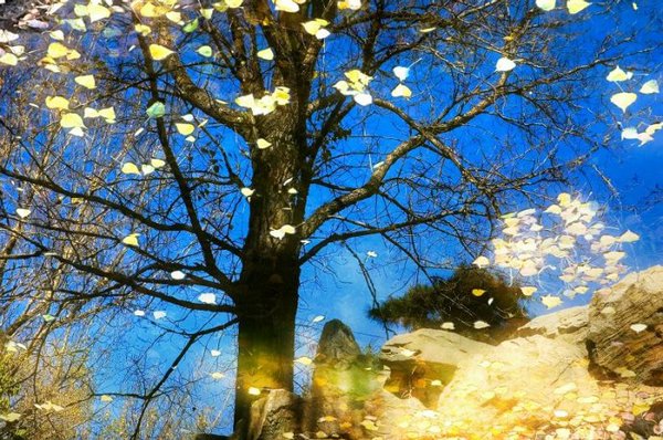 669fb864h991b3fe8b7c1&690 669fb864h991b3fe8b7c1&690