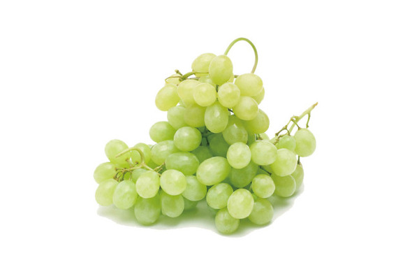 058PICe58PICJVy 058PICe58PICJVy