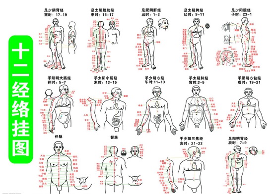 十二经络图带你揭开人体秘密！