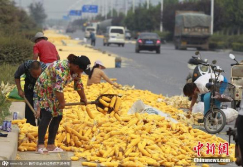 资料图。图片来源：CFP视觉中国