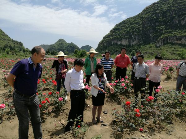 2016051211574640375 2016051211574640375