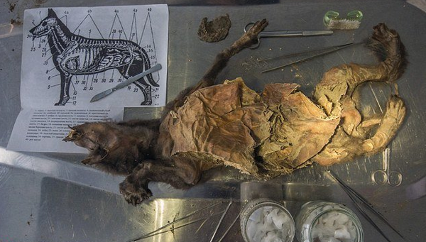 QQ图片20160517155521