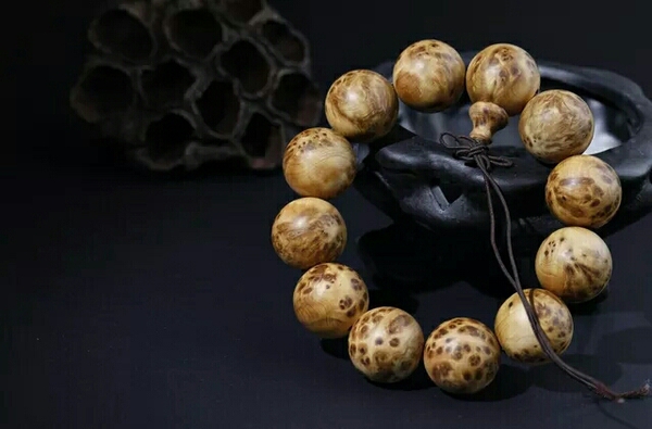 4e2763f1-53e1-4554-be23-b661e5ca8d52 4e2763f1-53e1-4554-be23-b661e5ca8d52