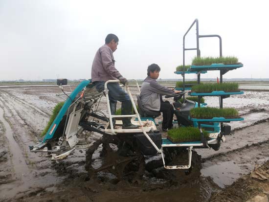 201605171041504458 201605171041504458