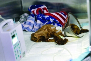 W020160518296236684699 W020160518296236684699