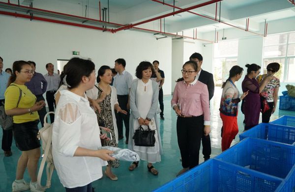 W020160518347496240668 W020160518347496240668