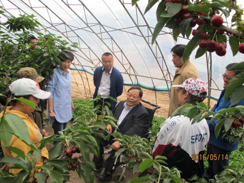 图为调研组在农村残疾人扶贫基地进行考察   图为调研组在农村残疾人扶贫基地进行考察