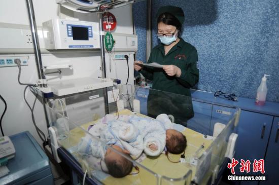 资料图 中新社发 朱小军 摄 图片来源:CNSPHOTO 资料图 中新社发 朱小军 摄 图片来源:CNSPHOTO