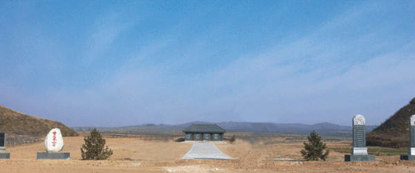 13133843728720 13133843728720