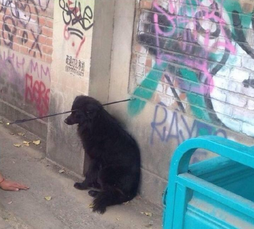 QQ浏览器截屏未命名1 QQ浏览器截屏未命名1