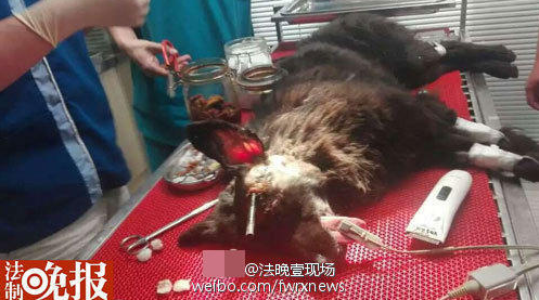 QQ浏览器截屏未命名3 QQ浏览器截屏未命名3