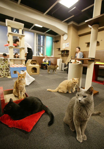 2qie-fxsexua6327068 2qie-fxsexua6327068