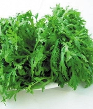 685206929072345683 685206929072345683