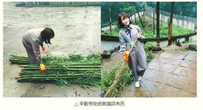 女孩从外交部“裸辞”:想看看生活的另一种可能