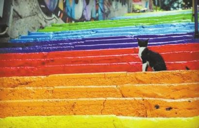 女孩从外交部“裸辞”:想看看生活的另一种可能