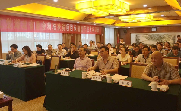 20160519154130946094 20160519154130946094