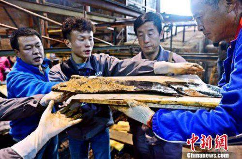 图为南昌西汉海昏侯墓主椁室考古发掘现场出土了一组漆器“屏风”。　郭晶 摄