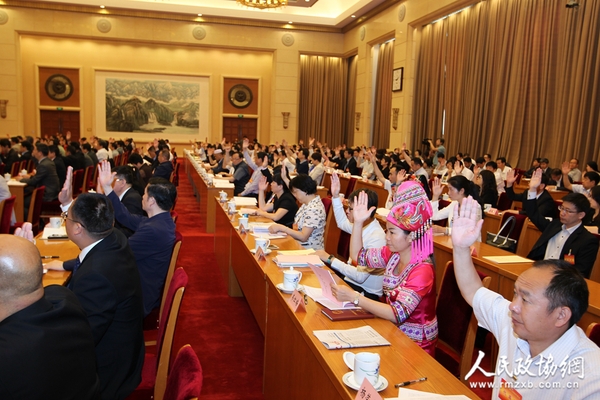 代表表决-赵金广摄 代表表决-赵金广摄