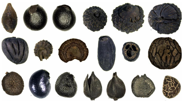 QQ图片20160523112233