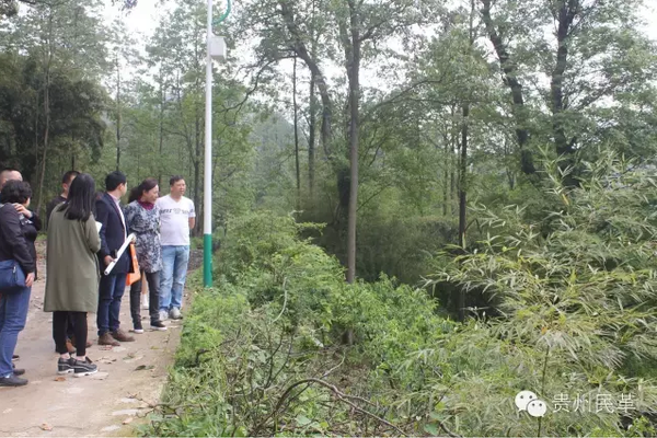 dcbcafe53ce046e9ac989b641d4fae08 dcbcafe53ce046e9ac989b641d4fae08