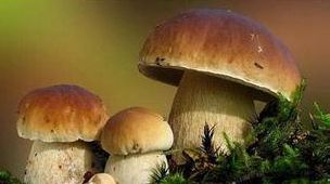 MAIN201605241114236283634006915 MAIN201605241114236283634006915