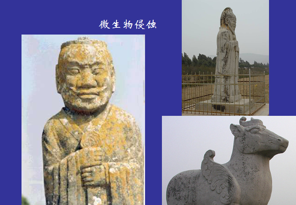 QQ图片20160524162519 QQ图片20160524162519