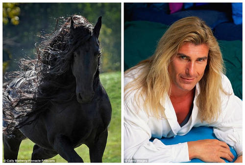 这匹马就像爱情小说中随处可见的骑着马的英俊男主角，图为“腓特烈二世”与美国爱情小说封面男神法比奥-兰佐尼的对比照，他们都有一头飘飘的长发。
