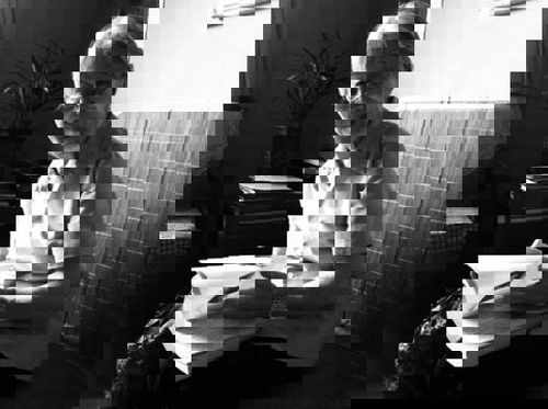 杨绛晚年自述谈钱锺书:偶然相逢却好像姻缘前定