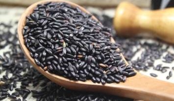 腰痛就是肾虚吗？养肾必读的“三字经”