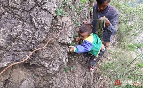 悬崖村孩子告别爬藤梯3 悬崖村孩子告别爬藤梯3