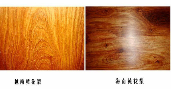 42221527_5 42221527_5