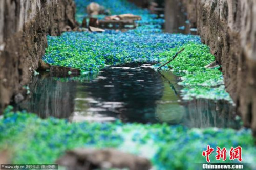 资料图。 李康 摄 图片来源：CFP视觉中国