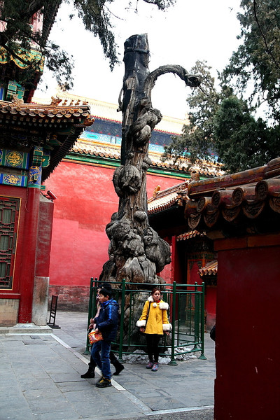 t01a206a389d6212924 t01a206a389d6212924