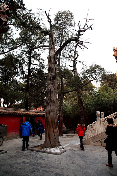 t01db866f19562586ac t01db866f19562586ac