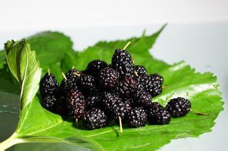 u=2367023587,774727018&fm=21&gp=0 u=2367023587,774727018&fm=21&gp=0