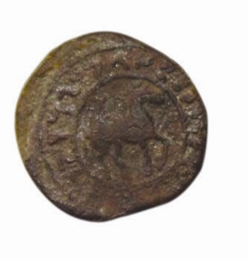 图3和田马钱(正)