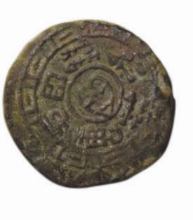 图4和田马钱(背)