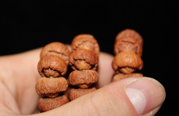 QQ图片20160527160200 QQ图片20160527160200